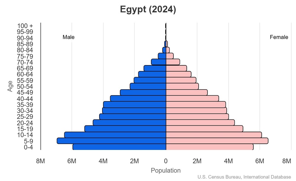 2024 population pyramid