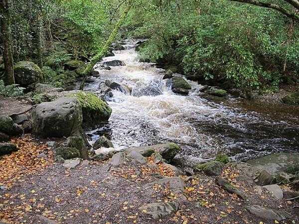 Mountain stream below the Torc Waterfall in County Kerry.