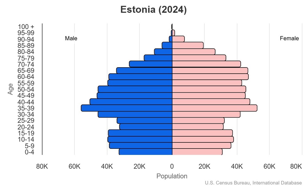 2024 population pyramid