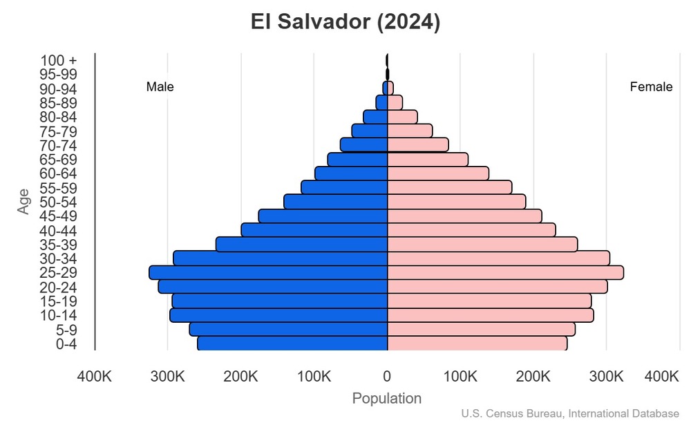 2024 population pyramid