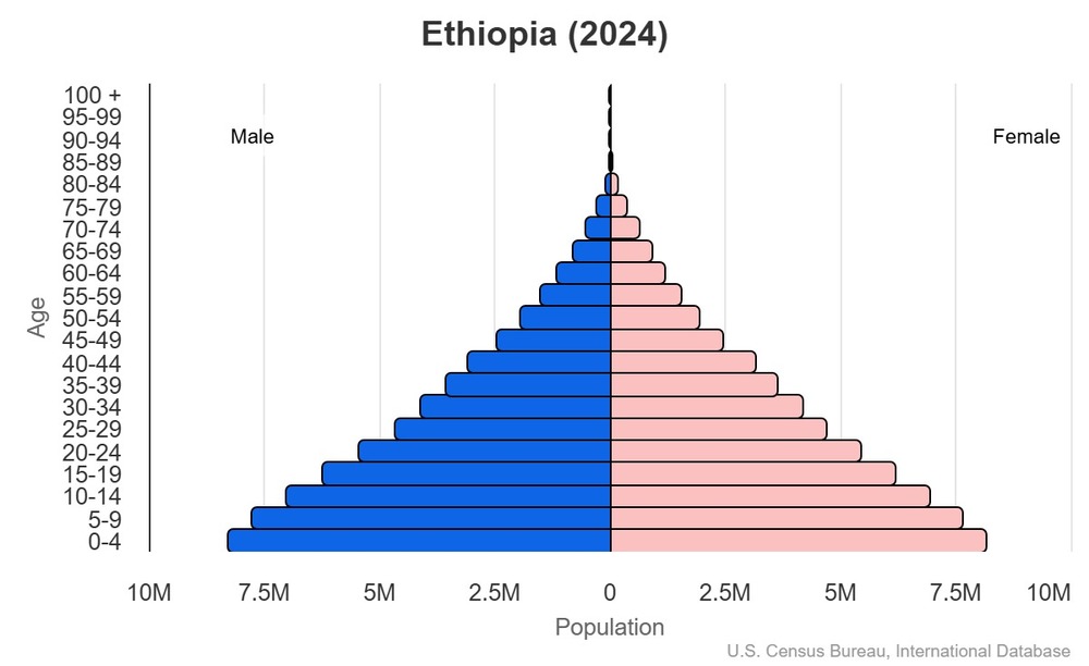 2024 population pyramid