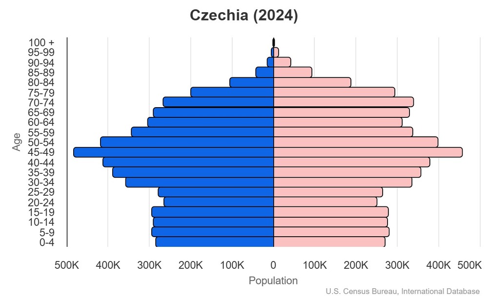 2024 population pyramid