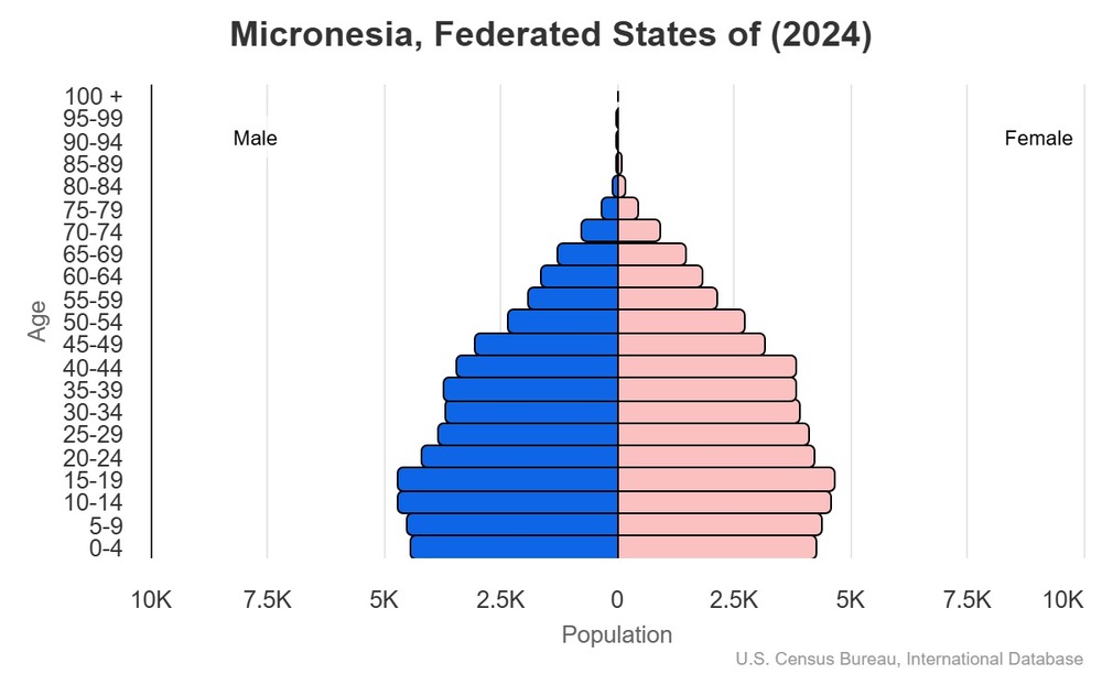 2024 population pyramid