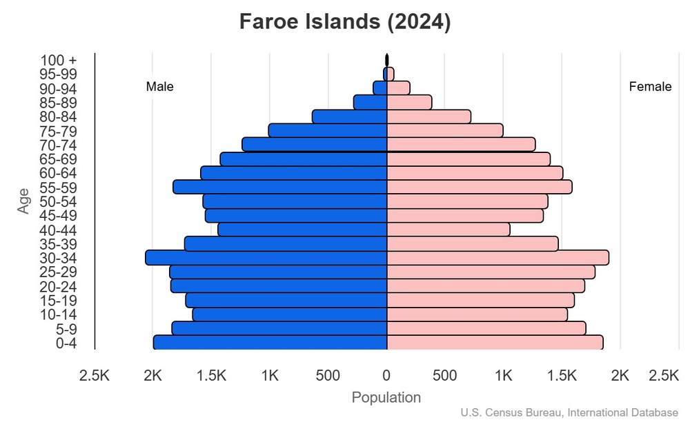 2024 population pyramid