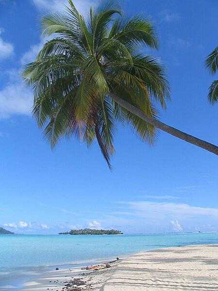 Tranquility on Bora Bora.