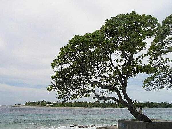 Rangiroa, Tuamotu Islands.