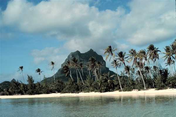 A Bora Bora view showing palm trees and a volcanic plug with a white sandy beach in the foreground. Photo courtesy of NOAA / Anthony R. Picciolo.