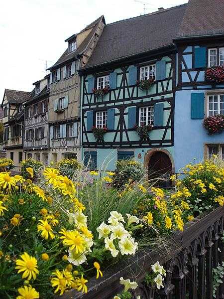 Colorful houses along a canal in Colmar, an Alsatian town with the sobriquet of &quot;Little Venice.&quot;