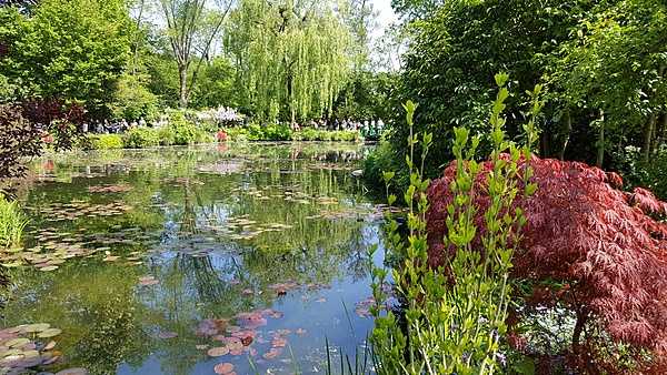 A view of the pond in the Japanese water garden at Giverny. Monet bought the land in 1893, ten years after arriving at the home. A small brook called the Ru, a diversion of the Epte, a tributary of the Seine, crosses the property.  After purchasing the property, Monet had a small pond dug as he wished to replicate the Japanese gardens in the prints he collected. There was initial opposition to the pond as the neighbors thought Monet's strange plants would poison the water.