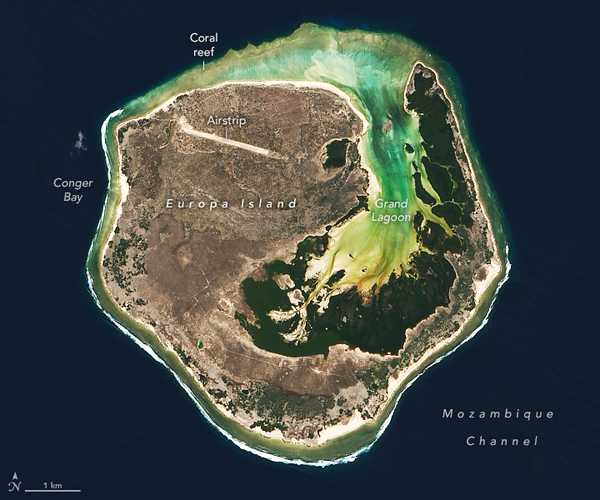 Europa Island is the focus of this image, acquired on 3 April 2022, with the Landsat 9 satellite. It is part of the overseas French territory that includes the Îles Éparses, or “scattered islands,” dispersed around Madagascar. Europa Island spans about 28 sq km, making it the largest of the Îles Éparses. It was initially an atoll that became exposed at the sea surface around 90,000 years ago. The atoll progressively filled in, and it slowly transformed into the island we know today. Vegetation across much of the island likely has not changed much since naturalists started visiting in the early 20th century. Dry forests still grow along the oldest and highest parts of the island, where the ground is rocky. Herbaceous plants and grasses spring from the newer surfaces that rise just a few centimeters above sea level, and bushes prefer the coastal areas. The native vegetation provides critical breeding habitat for seabirds, including the red-tailed tropicbird, the red-footed booby, and the great and lesser frigatebird. Another important habitat - the Grand Lagoon - cuts far into the island. Saltwater mangroves dominate the lagoon’s shoreline, while a sandy beach covers its western side. This beach, the lagoon, and the island’s shore all support each life stage of the island’s numerous sea turtles. Europa has been called the largest nesting site for green turtles in the Western Indian Ocean. The most obvious evidence of human activity in this image is the airstrip, built in 1973. Photo courtesy of NASA.