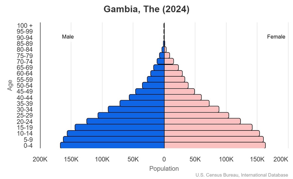 2024 population pyramid