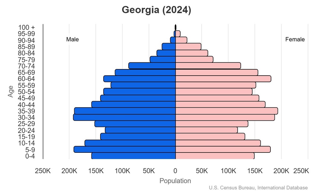 2024 population pyramid