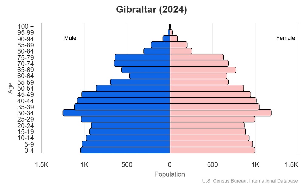 2024 population pyramid