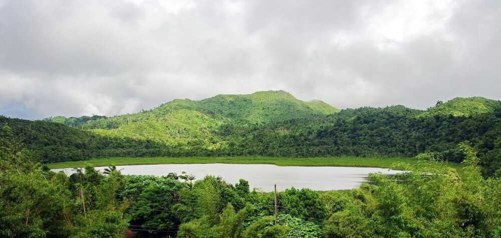 Grand Etang Lake is a crater lake located in a now-dormant volcano that created the island of Grenada. The lake is 530 m (1,740 ft) above sea level, 6.1 m (20 ft) deep, and 15 ha (36 acres) in area. The lake is the central attraction of the Grand Etang Forest Reserve, which was established in 1906 and is the largest protected area on the island. The lake is also on Grenada’s coat of arms.