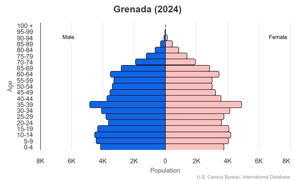 2024 population pyramid