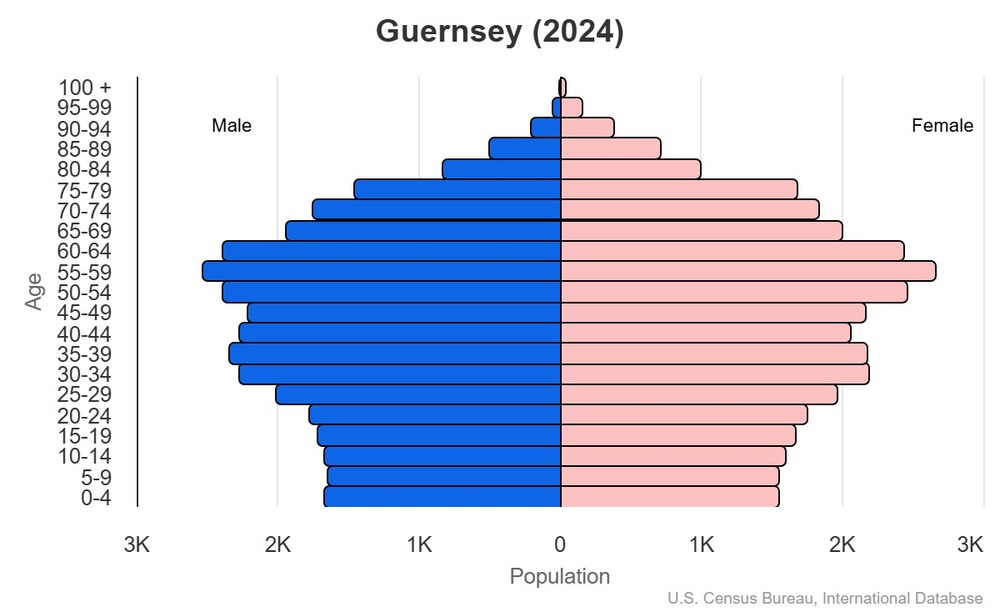 2024 population pyramid 2024 population pyramid