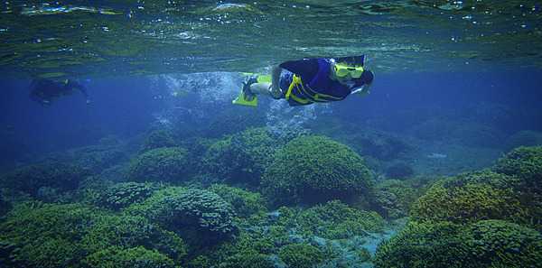 Reef snorkeling on Guam. Photo courtesy of the US National Park Service.
