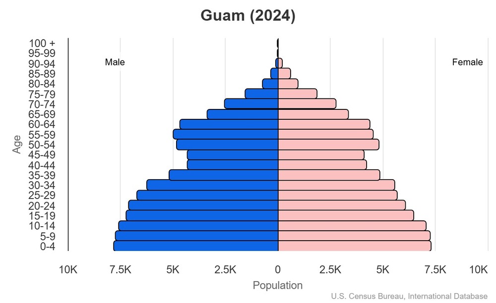 2024 population pyramid