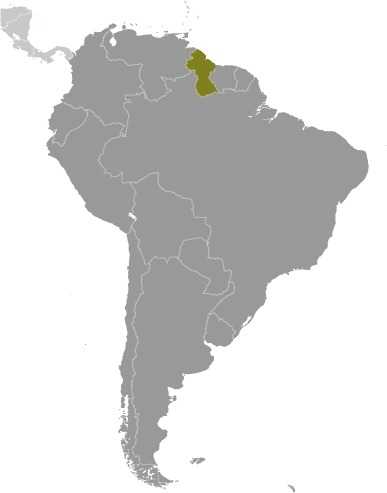 Guyana locator map