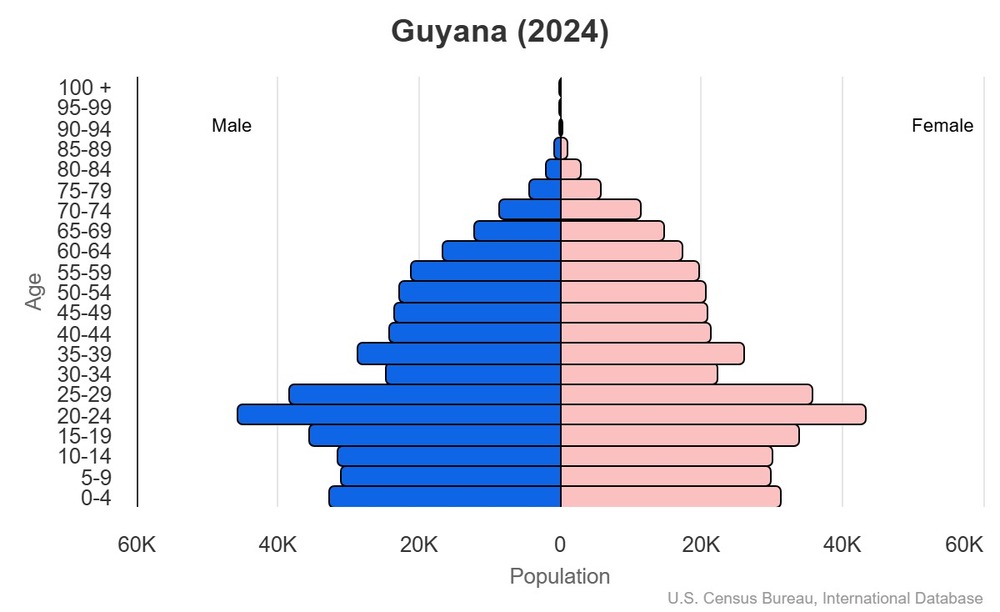 2024 population pyramid