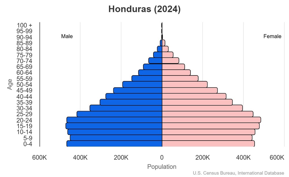 2024 population pyramid
