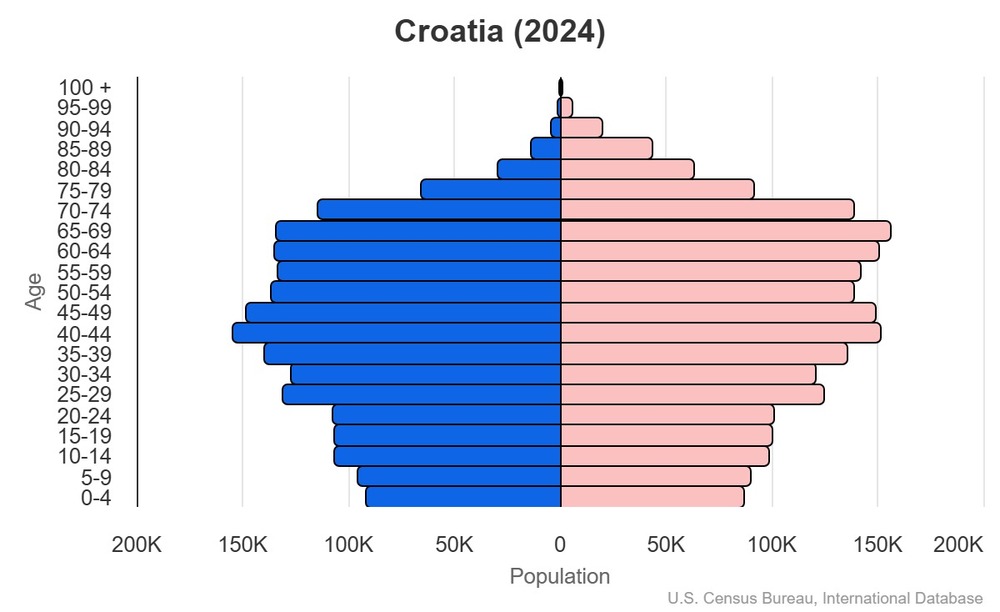 2024 population pyramid
