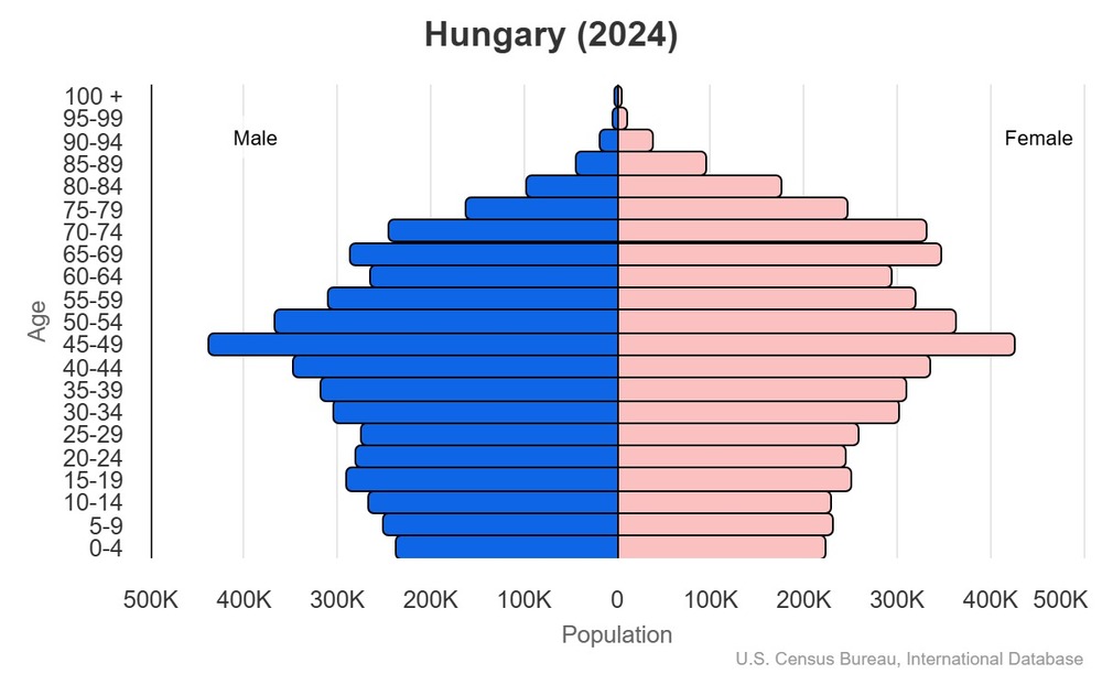 2024 population pyramid