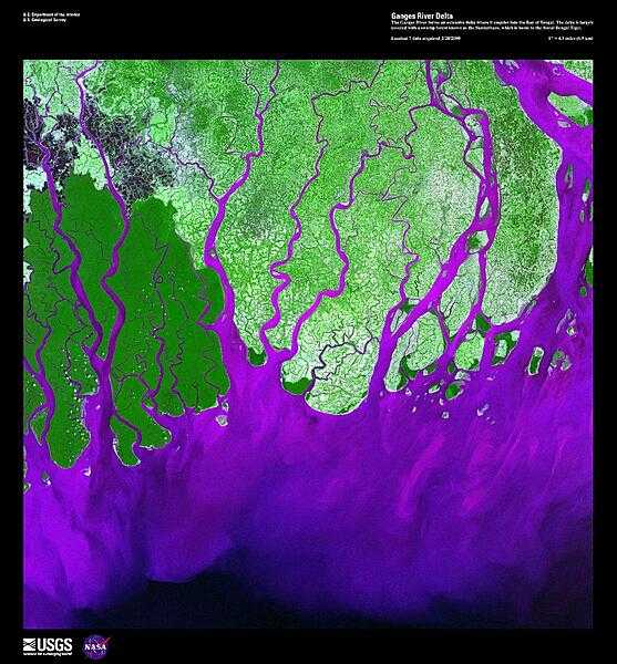 The Ganges River forms the largest tide-dominated delta in the world where it empties into the Bay of Bengal. This false-color satellite image vividly displays the large amount of sediment (violet), carried from as far away as the Himalayas, that precipitates when it abruptly encounters the sea. The delta is largely covered with a swamp forest known as the Sunderbans, which is home to the Royal Bengal Tiger. Image courtesy of USGS.