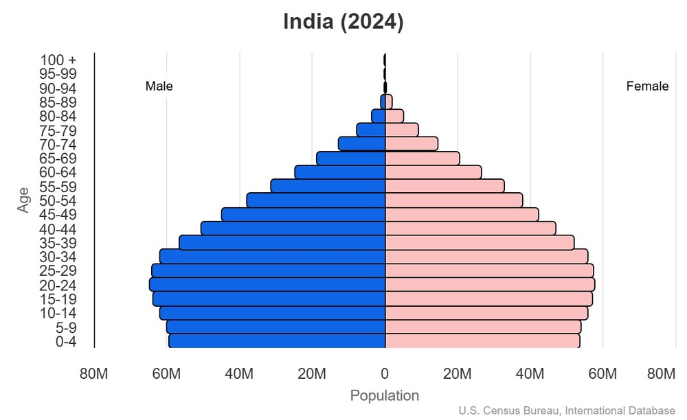 2024 population pyramid