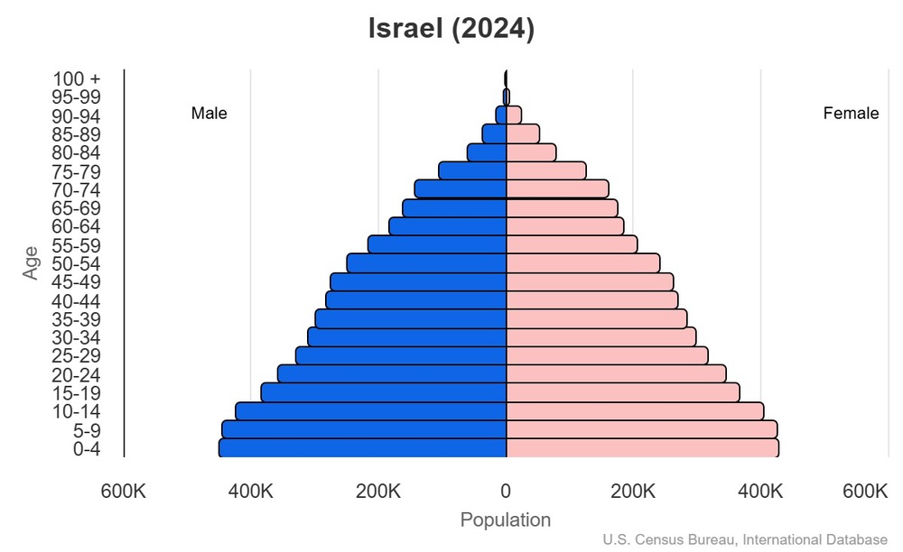 2024 population pyramid