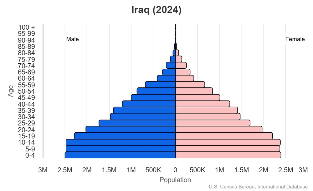 2024 population pyramid