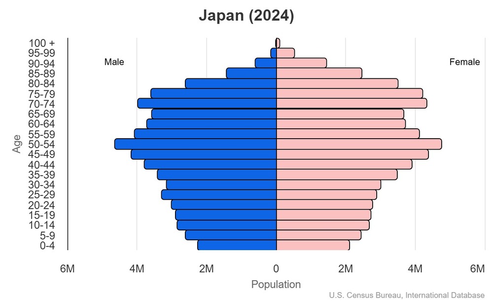 2024 population pyramid