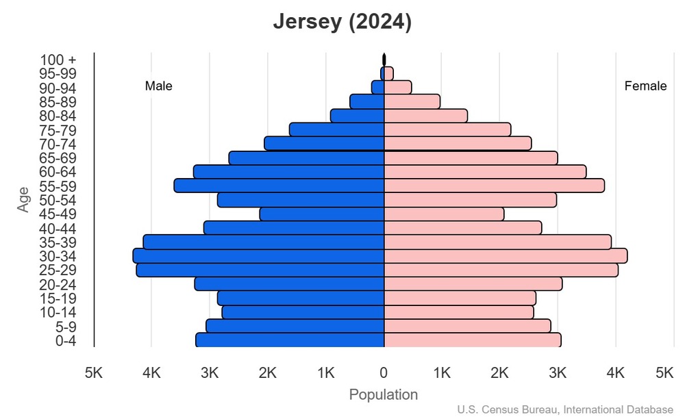 2024 population pyramid