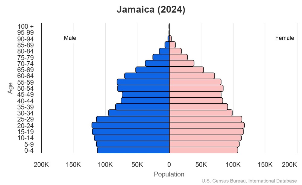 2024 population pyramid