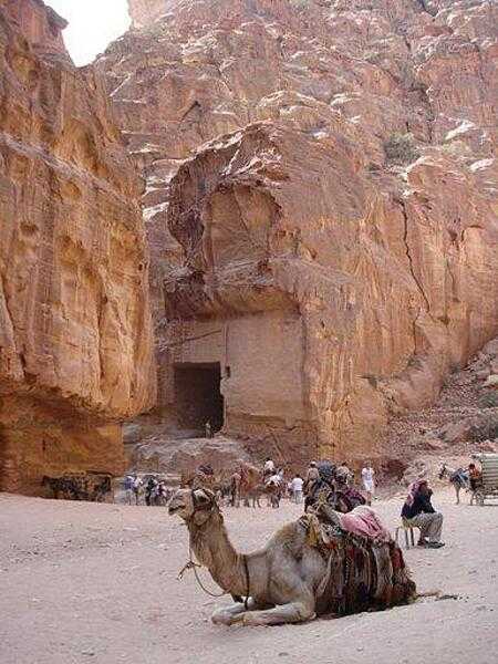 Rest stop at Petra.