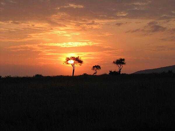 Dawn in Masai Mara National Reserve.