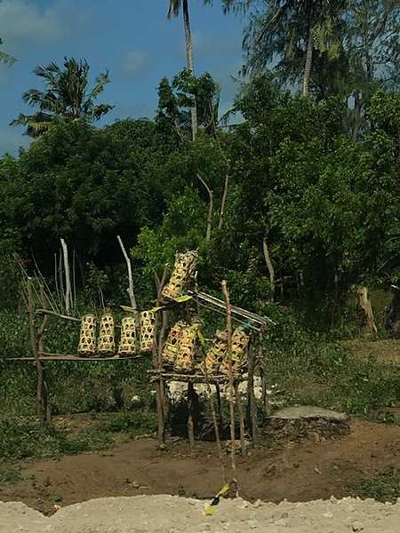 A makeshift mango stand by the side of the road. The mango fruit is sold by the kilo.