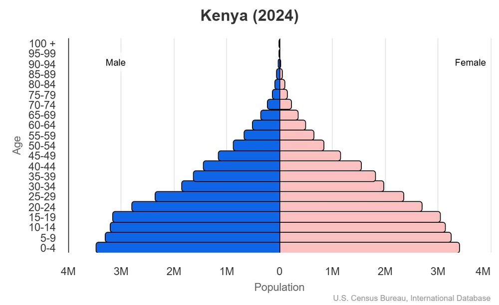 2024 population pyramid