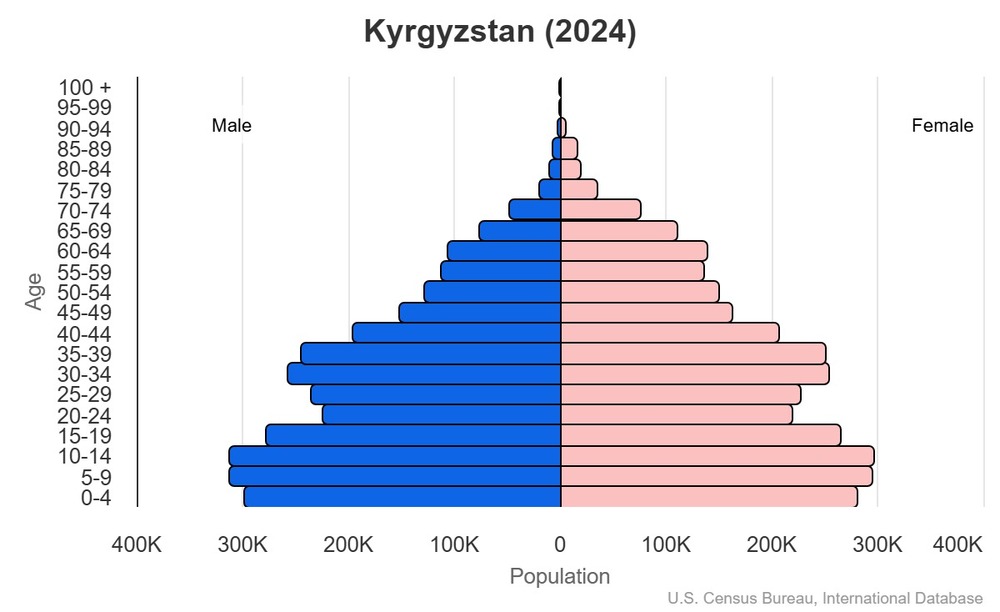 2024 population pyramid