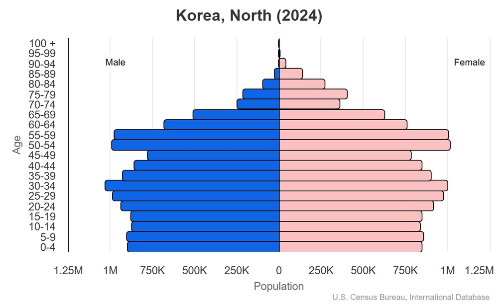 2024 population pyramid