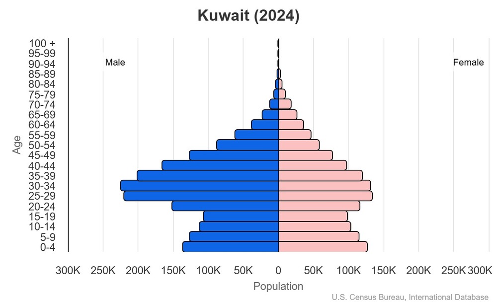 2024 population pyramid