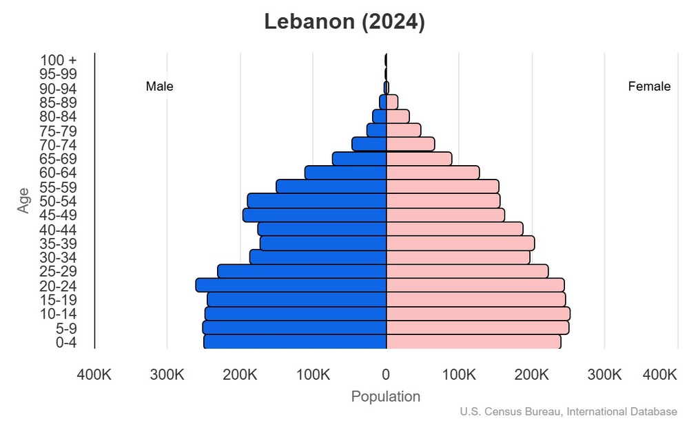 2024 population pyramid
