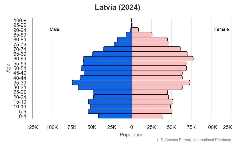 2024 population pyramid
