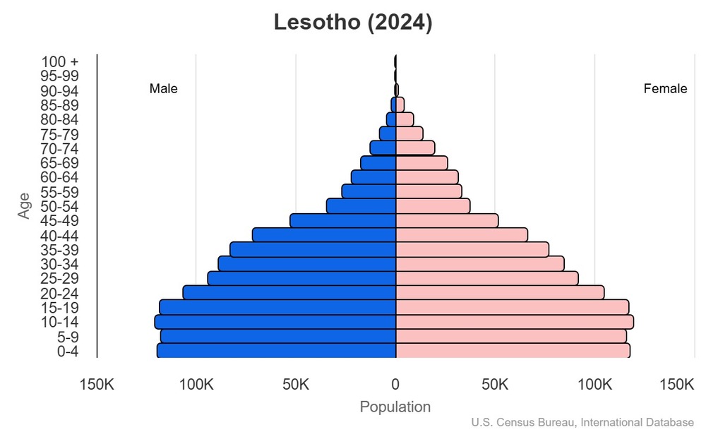 2024 population pyramid