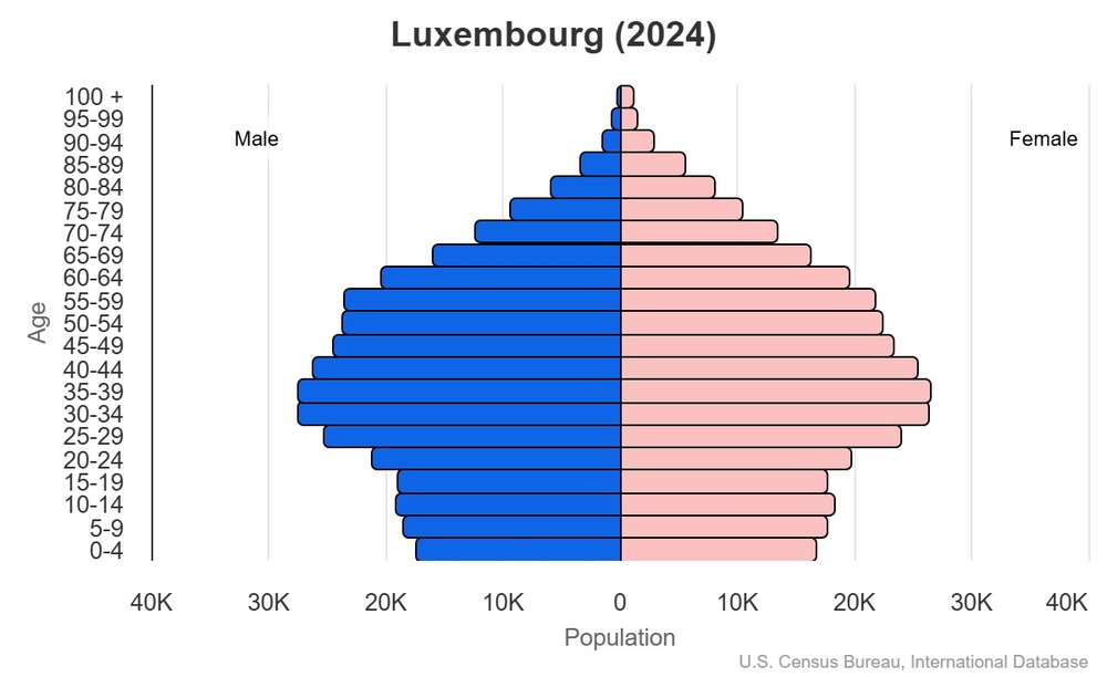 2024 population pyramid