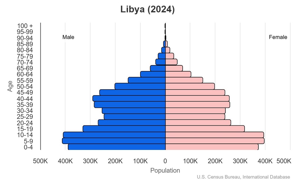 2024 population pyramid