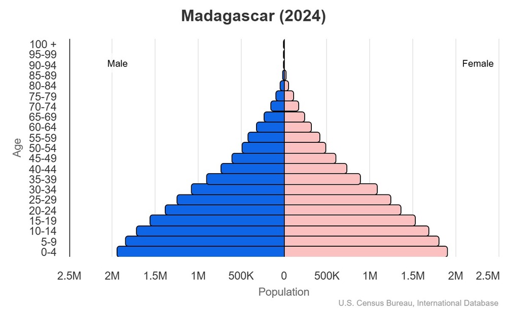 2024 population pyramid