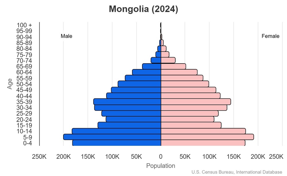 2024 population pyramid