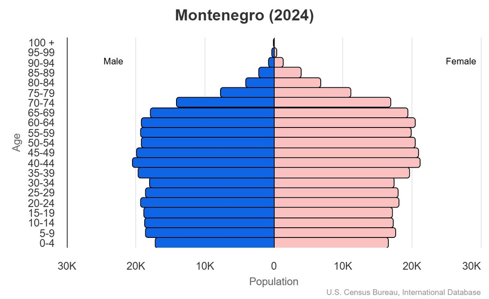 2024 population pyramid