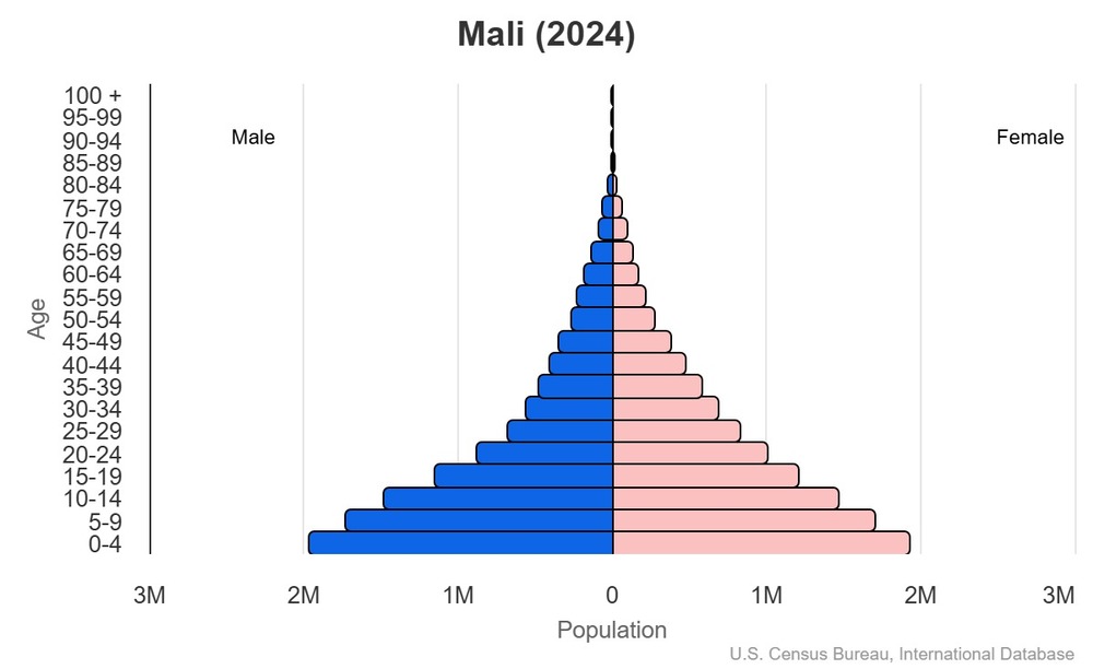 2024 population pyramid